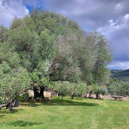 Olbia Grazioso Bilo In Periferia Villa Sole Ruiu ภายนอก รูปภาพ