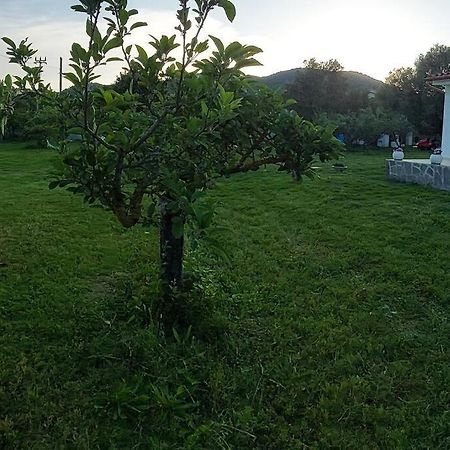 Olbia Grazioso Bilo In Periferia Villa Sole Ruiu ภายนอก รูปภาพ