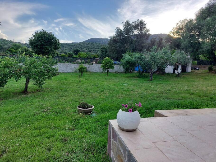 Olbia Grazioso Bilo In Periferia Villa Sole Ruiu ภายนอก รูปภาพ
