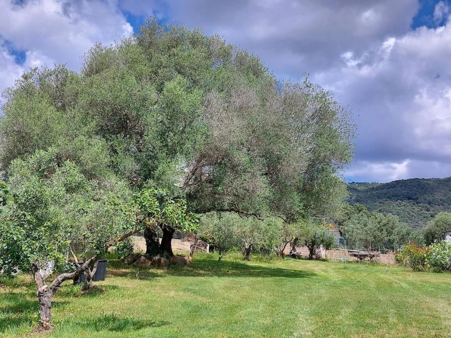 Olbia Grazioso Bilo In Periferia Villa Sole Ruiu ภายนอก รูปภาพ